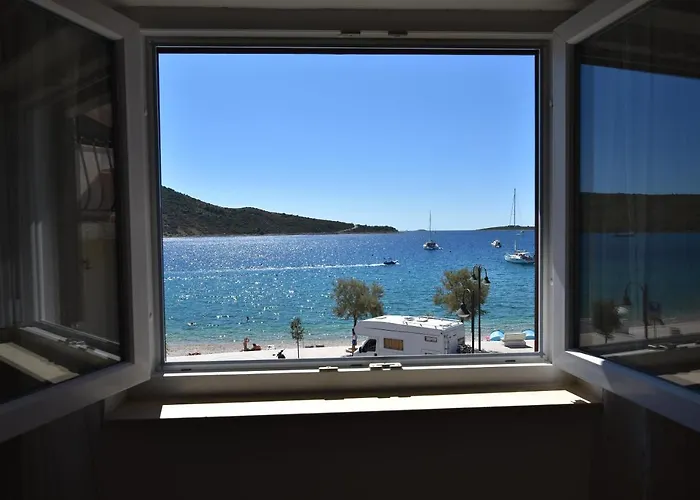 Bene 프리모스턴